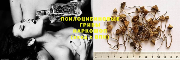 ПСИЛОЦИБИНОВЫЕ ГРИБЫ Баксан