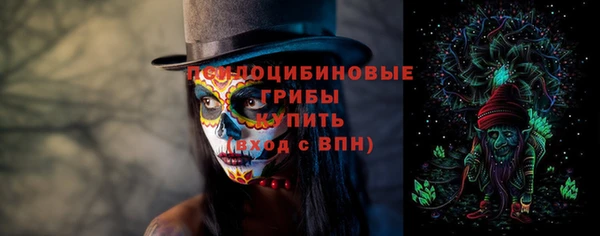 ПСИЛОЦИБИНОВЫЕ ГРИБЫ Баксан