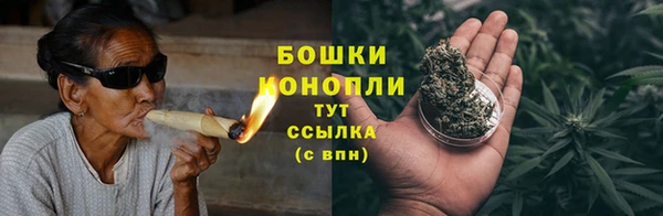 ПСИЛОЦИБИНОВЫЕ ГРИБЫ Баксан