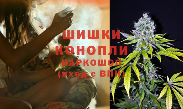 ПСИЛОЦИБИНОВЫЕ ГРИБЫ Баксан