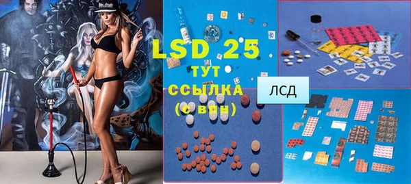 ПСИЛОЦИБИНОВЫЕ ГРИБЫ Баксан