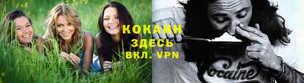 не бодяженный Балахна